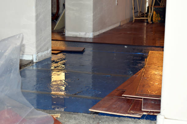 Professional Water Damage Restoration technician working in Round Top, TX
